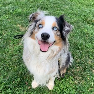 Meet your Posher, Jessica